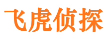 河北市侦探公司